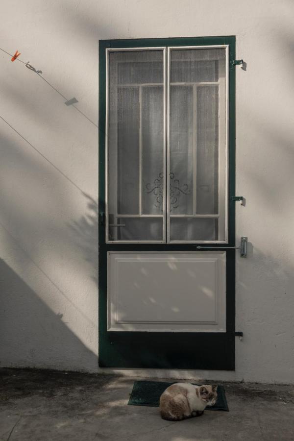 Quinta Da Cidade Ponta Delgada Esterno foto